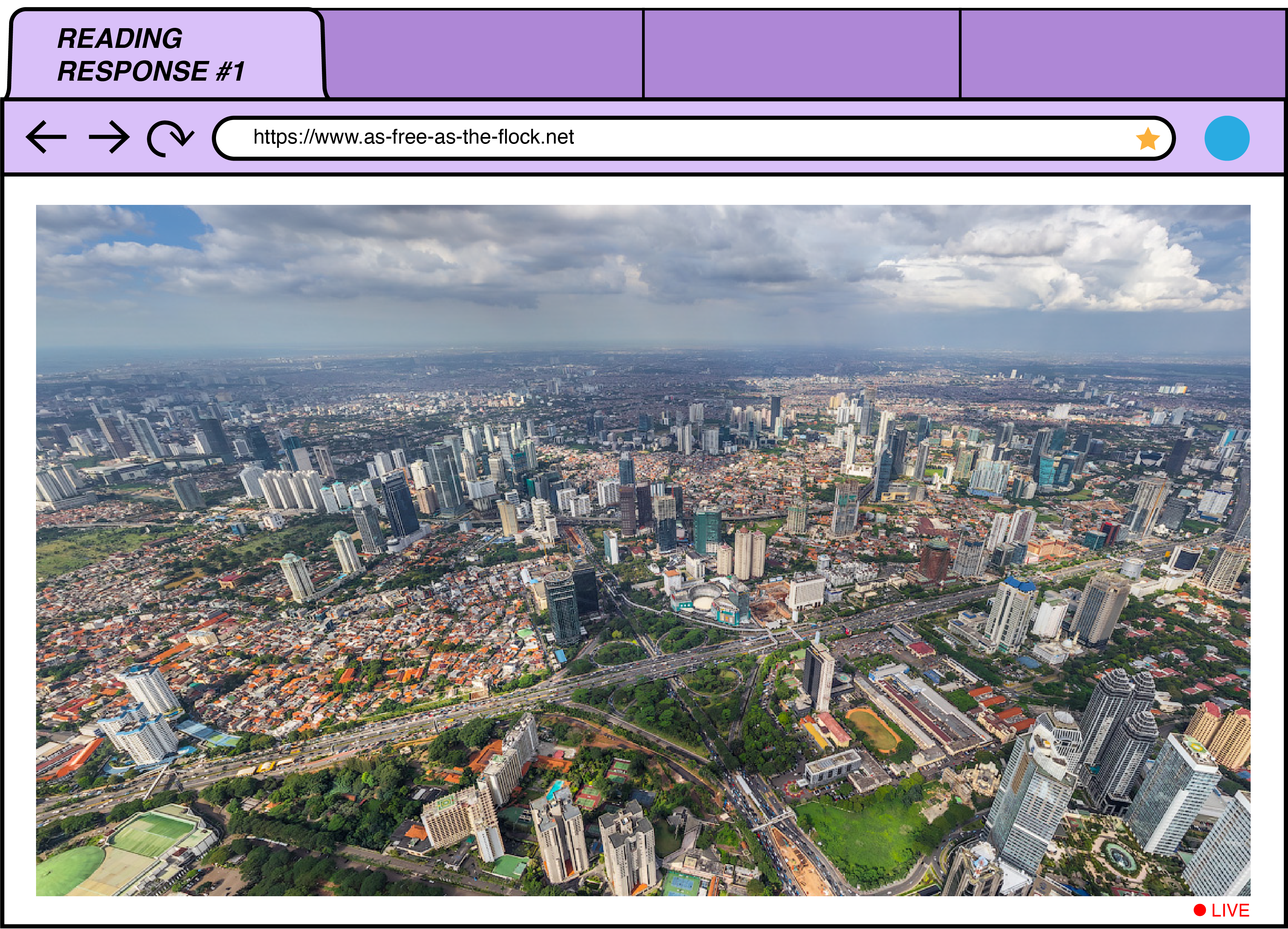a mocked-up webpage with a birds eye view of a city entitled https://www.free-as-the-flock.net